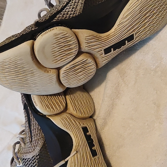 Lebrons - Picture 4 of 4